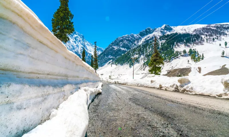 Kashmir (1)